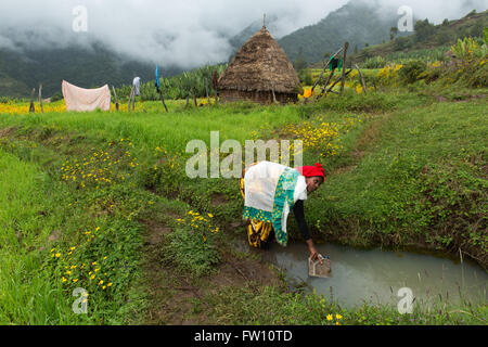 Gibi Dorf Gurage, Äthiopien, Oktober 2013 Belatu Anchamo, 20, ein Wasserbehälter füllen. Stockfoto