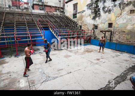Havanna, Kuba - 22. September 2015: Junge Boxer trainieren in der berühmten Boxen Schule von Rafael Trejo in Alt-Havanna, Kuba. Box ist Kuba n Stockfoto