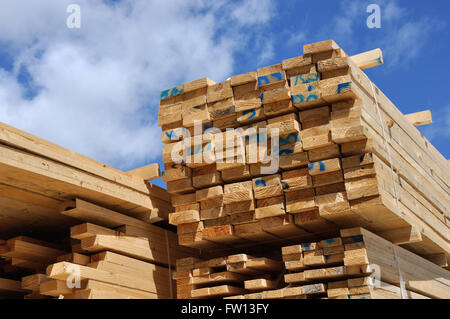 Haufen von Holz Schneiden von Pinus Radiata warten ihrerseits für den Versand aus dem Sägewerk Stockfoto