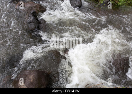 Debre Mahela Kebele, Nord-Shewa, Äthiopien, Oktober 2013: Wasser fließt in einem schnellen Moiuntain Strom. Stockfoto