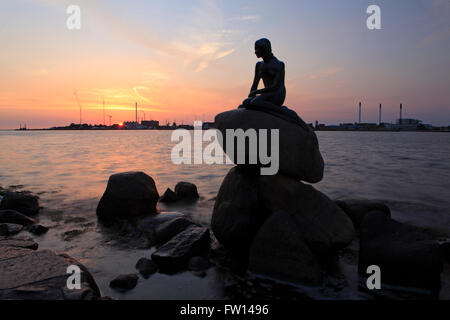 Statue der Meerjungfrau im Langelinie bei Sonnenaufgang, Kopenhagen, Dänemark Stockfoto