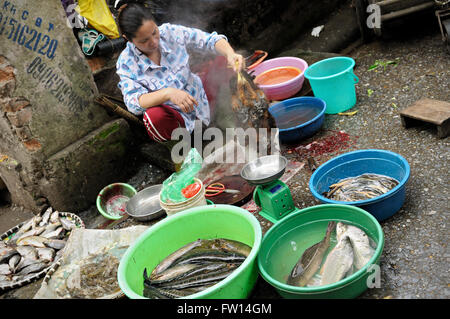 Frau Huhn halten und den Verkauf Fisch auf dem Markt in der Altstadt von Hanoi, Vietnam Stockfoto