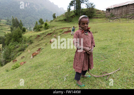 Mescha Dorf, Nord-Shewa, Äthiopien, Oktober 2013: Kinder hüten ihre Familie Tiere. Stockfoto