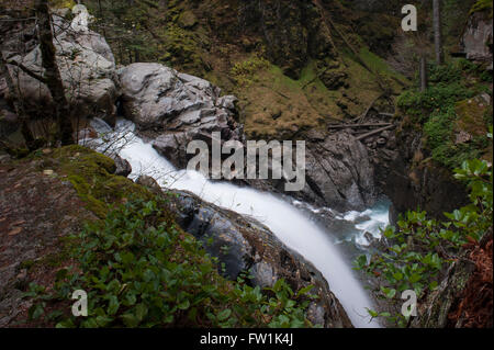 Nooksack Fluss und Nooksack Falls North Cascade Nationalpark Stockfoto