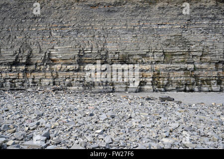 Schichten von Blue Lias Gesteinsschichten am Lavernock Point in Wales, Großbritannien, Sedimentgesteinsgeologie. Walisische Küste Stockfoto