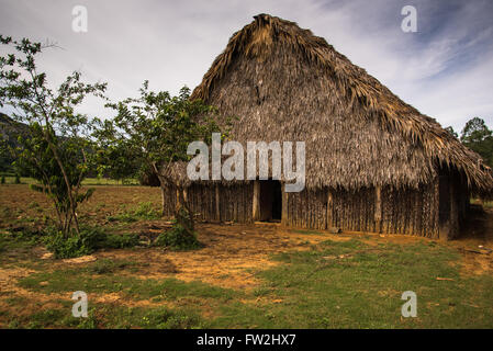 Tabak-Plantage und Bauernhof n Vinales Tal, Kuba. Stockfoto