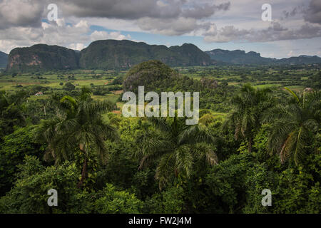 Panoramablick über die Landschaft mit Mogotes in Vinales Tal, Kuba Stockfoto