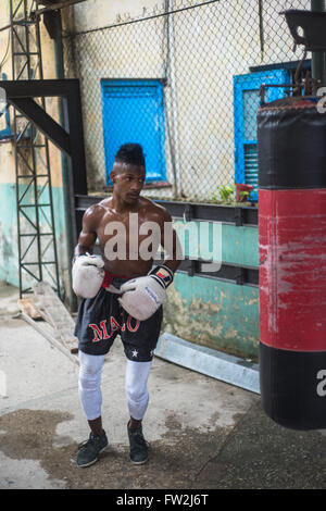 Havanna, Kuba - 22. September 2015: Junge Boxer trainieren in der berühmten Boxen Schule von Rafael Trejo in Alt-Havanna, Kuba. Box ist Kuba n Stockfoto