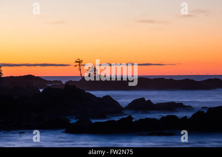 Sonnenaufgang in tofino Stockfoto