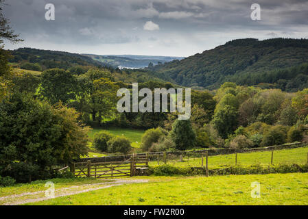 Landschaft im Herbst im ländlichen England Stockfoto