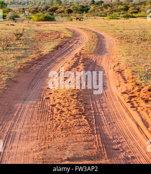 Feldweg in Botswana, Afrika mit reichen roten Schmutz und Reifen Spuren Stockfoto