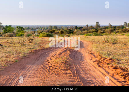 Feldweg in Botswana, Afrika mit reichen roten Schmutz und Reifen Spuren Stockfoto