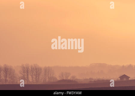 Bauernhaus auf einem nebligen Feld in den Sonnenaufgang Stockfoto