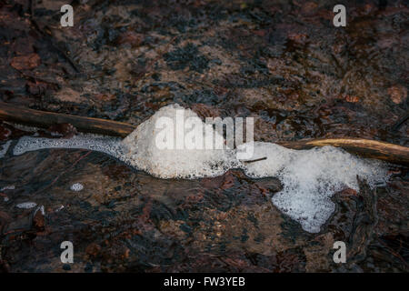 Schneeschmelze in einem Fluss im winter Stockfoto