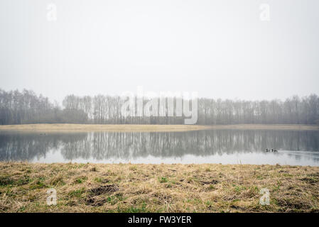 Nebligen See mit Reflexionen der Baum im Herbst Stockfoto