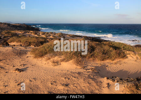 Küstenlandschaft Sandstrand, Dünen, Corralejo, Fuerteventura, Kanarische Inseln, Spanien Stockfoto