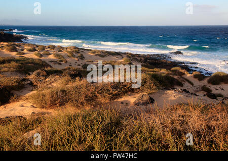 Küstenlandschaft Sandstrand, Dünen, Corralejo, Fuerteventura, Kanarische Inseln, Spanien Stockfoto