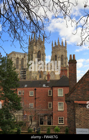 Westfassade des York Minster überragt Ziegel Häuser von den Stadtmauern, York, North Yorkshire, England, UK. Stockfoto