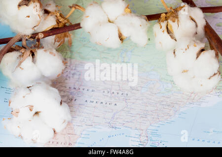 Landkarte der Vereinigten Staaten von Amerika mit weißer Baumwolle Blumen. Diese Nation ist eine der fünf wichtigsten Produzenten und ex Stockfoto