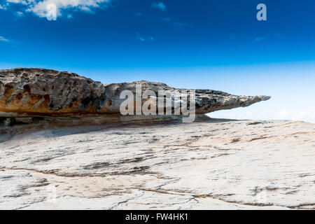 Felsformationen durch Wind und Wasser erodiert entlang der bondi Coastal Cliff Top Walk in den östlichen Vororten von Sydney Australien coogee. Stockfoto