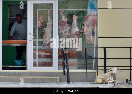 BAKU, Aserbaidschan - 3. März 2014 Schafe gefesselt außerhalb einer Metzgerei Schlachten erwarten.  Tiere sind oft außerhalb gebunden. Stockfoto