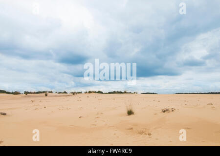 Bewölkten blauen Himmel über Camel farbige Sanddünen Stockfoto