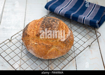 Brot frisch gebackene Thekenverkauf hausgemachte Struan, auf einem rustikalen Tisch blau. Stockfoto