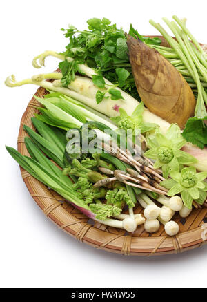 häufig werden die Odds als Zutaten in Shojin Ryori (buddhistische vegetarische Küche). Stockfoto