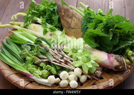 häufig werden die Odds als Zutaten in Shojin Ryori (buddhistische vegetarische Küche). Stockfoto