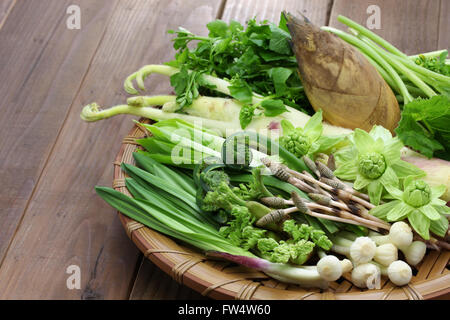 häufig werden die Odds als Zutaten in Shojin Ryori (buddhistische vegetarische Küche). Stockfoto