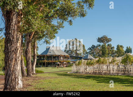 Homestead und Weinberg von Vasse Felix, das älteste Weingut in der Margaret River Region, Cowaramup, Western Australia Stockfoto