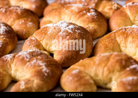 Frisch gebackenen Brioche Brötchen gemacht mit einer leicht süßlichen Teig mit Eiern in einem niedrigen Winkel full-Frame-Nahaufnahme Stockfoto