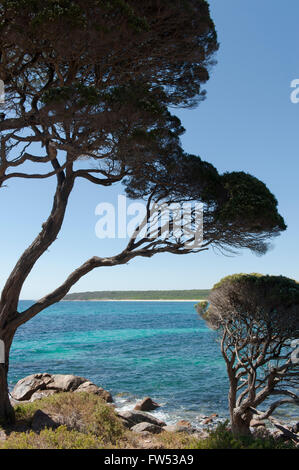 Bunker Bay nördlich von Cape Naturaliste, Cape Leeuwin National Park, Western Australia Stockfoto