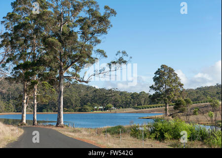 Fahren von Pemberton nach Western Australia Big Brook Dam, Gloucester Nationalpark, Landschaft Stockfoto