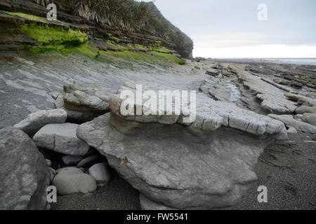 Erodierte Gesteinsschichten sind bei Ebbe am Strand West Coast, Südinsel, Neuseeland ausgesetzt. Stockfoto