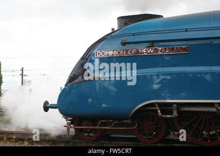 Herrschaft von Neuseeland steht im Dampf im National Railway Museum York North Hof Stockfoto