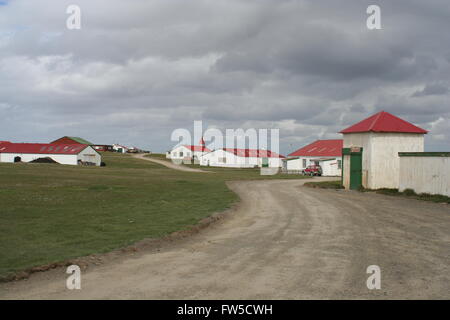 Goose Green, West Falkland Stockfoto