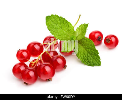 Reife rote Johannisbeere mit frischer Minze, isoliert auf weiss Stockfoto