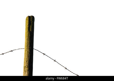 Zaunpfosten mit alten Stacheldraht isoliert auf weißem Hintergrund Stockfoto