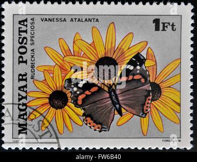 Ungarn - CIRCA 1980: Eine Briefmarke gedruckt in Ungarn zeigt Vanessa Schmetterling und Rudbeckia Blume, ca. 1980 Stockfoto