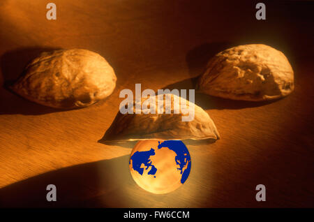 Erdkugel unter einem Nussbaum Stockfoto