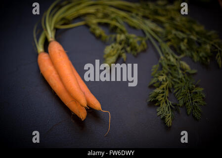 Top-down-Schuss von Karotten mit grünen Spitzen auf schwarzem Schiefer Hintergrund. Kopieren Sie Raum, konzeptionelle Lebensmittelmarketing. Stockfoto