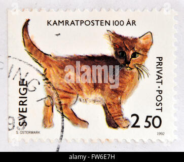 Schweden - ca. 1992: Eine Briefmarke gedruckt in Schweden zeigt Bild einer Katze, ca. 1992 Stockfoto