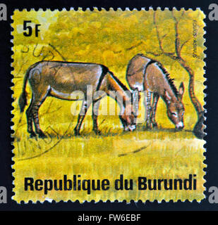 BURUNDI - CIRCA 1964: Eine Briefmarke gedruckt in Burundi zeigt Equus Asinus, wildes Tier, ca. 1964. Stockfoto