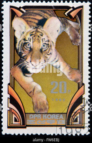 Eine Briefmarke gedruckt in Nordkorea zeigt junge Tiger, ca. 1982 Stockfoto