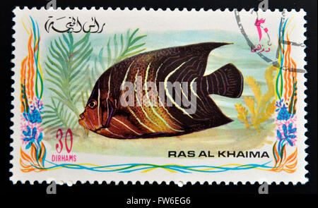 RAS AL-KHAIMAH - CIRCA 2006: Eine Briefmarke gedruckt in Ras al-Khaimah einen Fisch, Pomacanthus Asfur, arabischer Kaiserfisch, circa 2006 zeigt Stockfoto