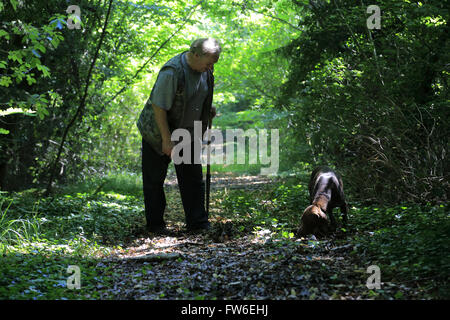 Ein Trüffeljäger mit seinem Hund auf der Suche nach Trüffeln in Wäldern, Gubbio, Umbrien, Italien Stockfoto