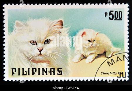 Philippinen - ca. 1979: Eine Briefmarke gedruckt in Philippinen zeigt Chinchilla-Katze, ca. 1979 Stockfoto