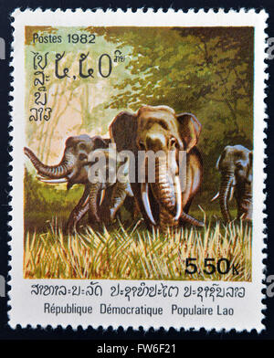 LAOS - CIRCA 1982: Eine Briefmarke gedruckt in Laos zeigt ein asiatischer Elefant, ca. 1982 Stockfoto