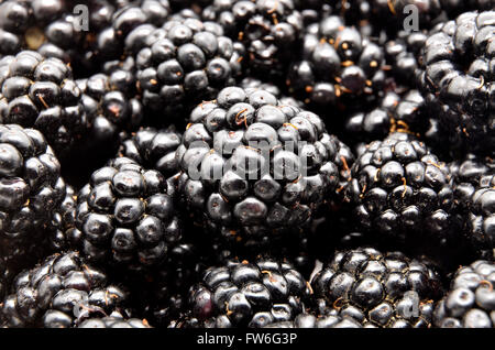 Frische reife Brombeeren Stockfoto